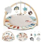 Blissful Diary 5-Zone Baby Play Gym